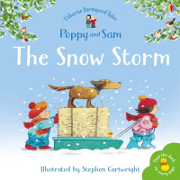 Image of The Snow Storm